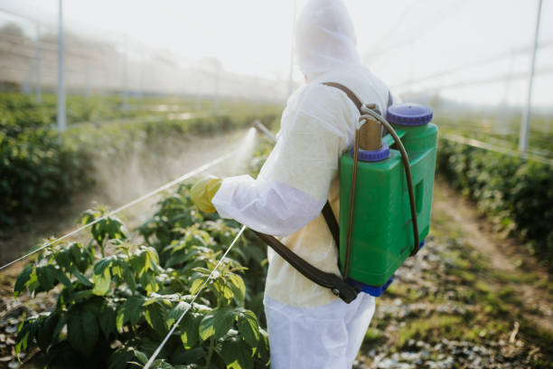 Best Residential Pest Control  in Barnum Island, NY